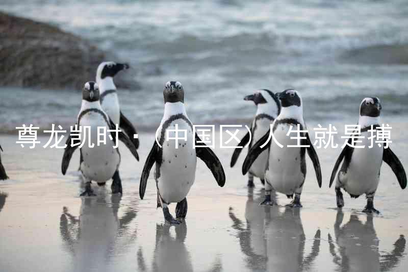 尊龙凯时·(中国区)人生就是搏